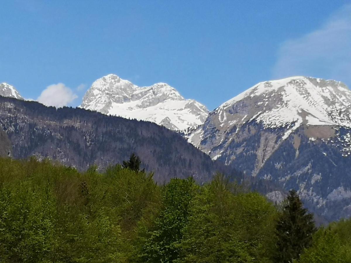 Apartmaji Prezelj Bohinj Exterior foto